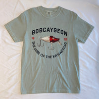 Lure of the Kawarthas